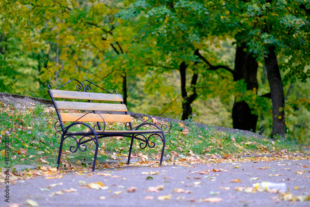 Bench in autumn park. Autumn landscape. Bench in autumn park. Autumn landscape.