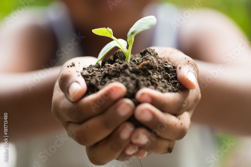 Child holding young seedling plant in hands tree bokeh background. Concept Earth day, Selective focus on plant