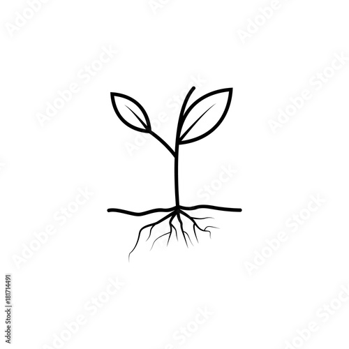 Sprout with roots icon