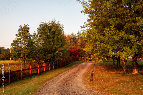 Country Lane