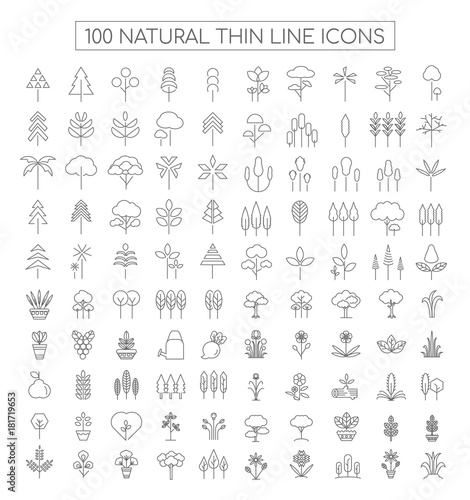 Natural Thin Line Icons