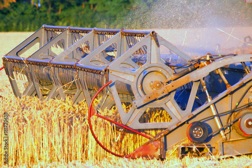 Combine machine is harvesting oats on farm field. combine harvester working on a wheat field. Combine harvester cuts the field of mature ripe yellow wheat photo