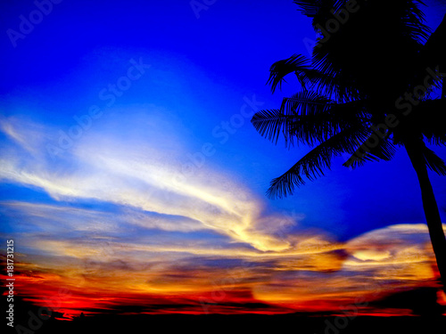 Fototapeta Naklejka Na Ścianę i Meble -  sunset last light and silhouette coconut palm tree