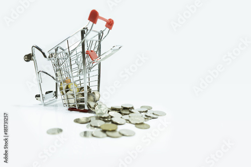 Shopping trolley or cart with coin for E-commerce concept or finance concept on white background or isolated