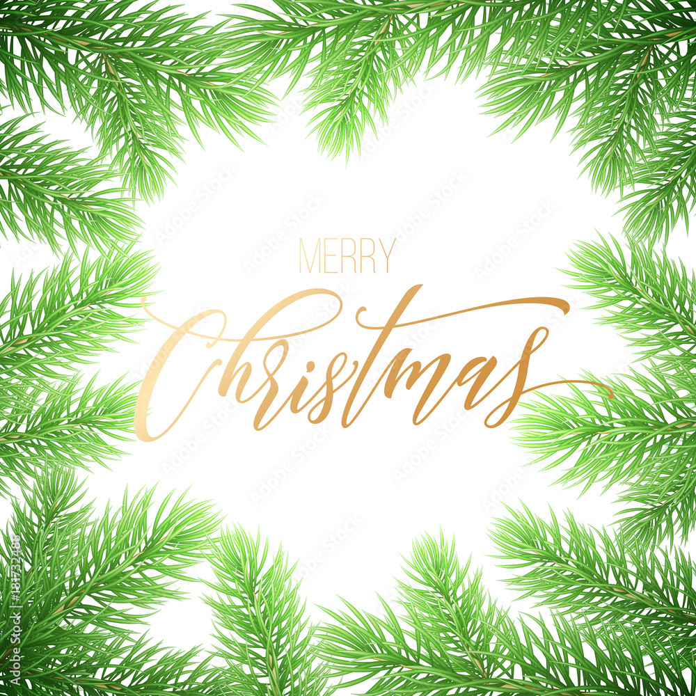 Fototapeta premium Merry Christmas holiday hand drawn quote golden calligraphy greeting card background template. Vector Christmas tree fir or pine wreath branch decoration on white premium design