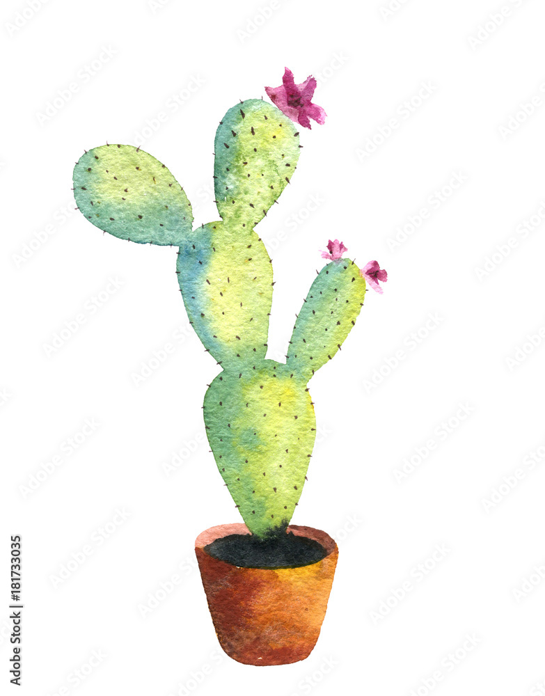 watercolor drawing cactus watercolor drawing cactus