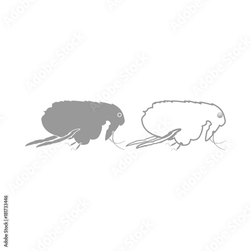 Flea icon. Grey set .