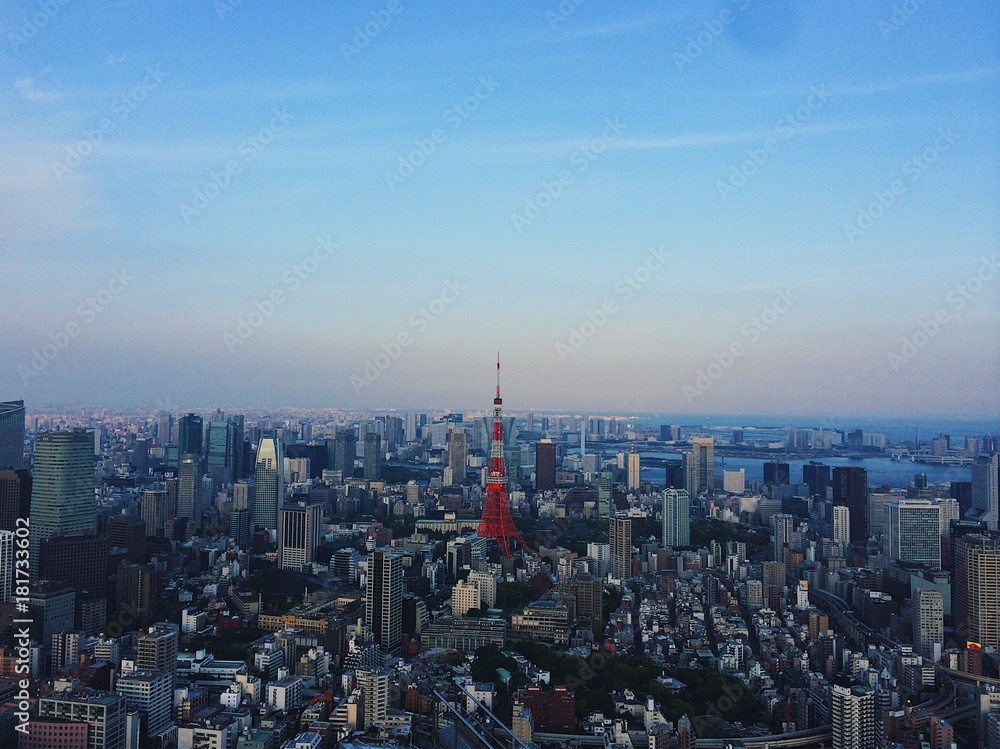 Tokyo Tower just before sunset