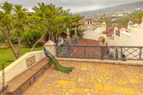 The Monasterio panoramic terrace photo