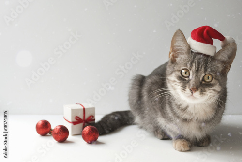 A cute christmas cat on light background. Christmas decor. Red balls, Santa hat, gift box. Snow blur effect.