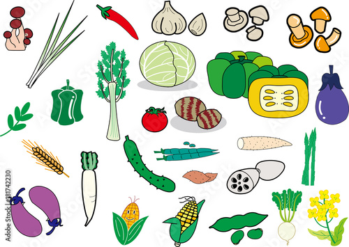 野菜