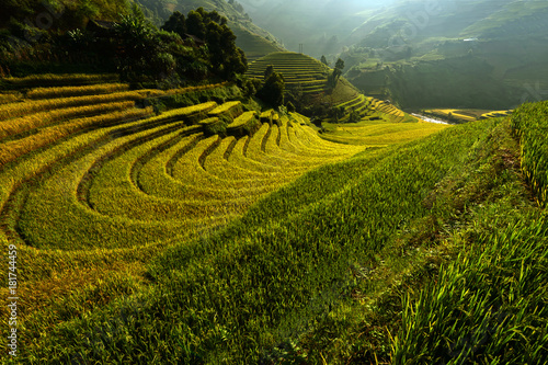Bright morning riceterraces in Mu cang chai,Yenbai,Vietnam.