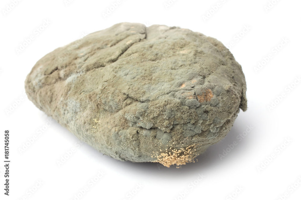 Fototapeta premium Moldy old bread