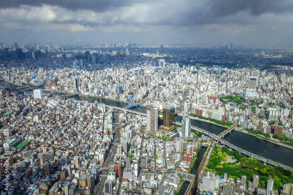Fototapeta premium Tokyo city skyline aerial view, Japan