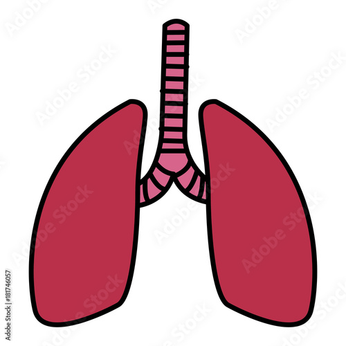 Lungs human organ icon vector illustration graphic design