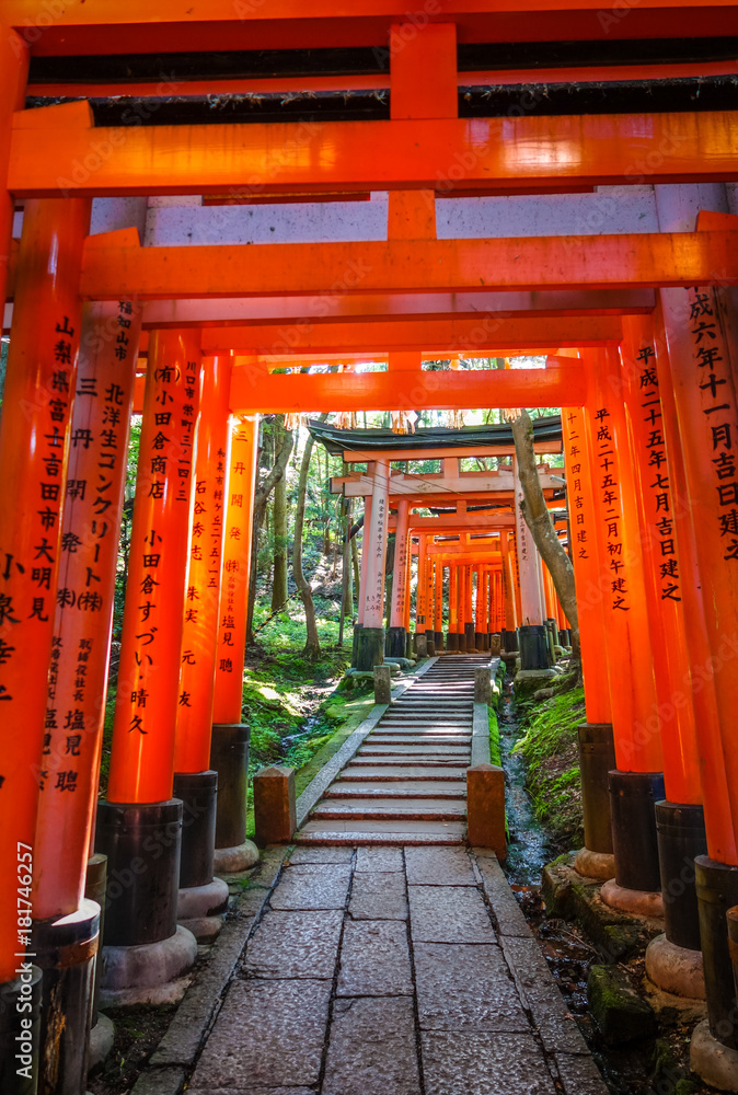 Fototapeta premium Fushimi Inari Taisha torii, Kyoto, Japonia