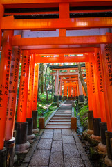 Fotobehang Japan Torii poorten Fushimi Inari Taisha  © daboost