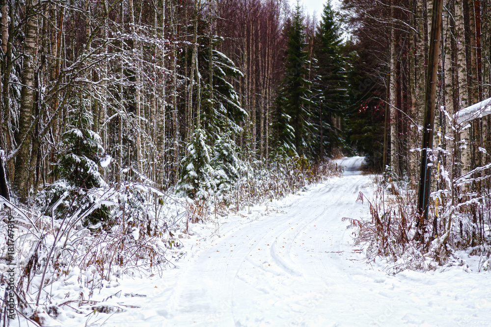 Winter landscape - the road is in the woods Winter landscape - the road is in the woods