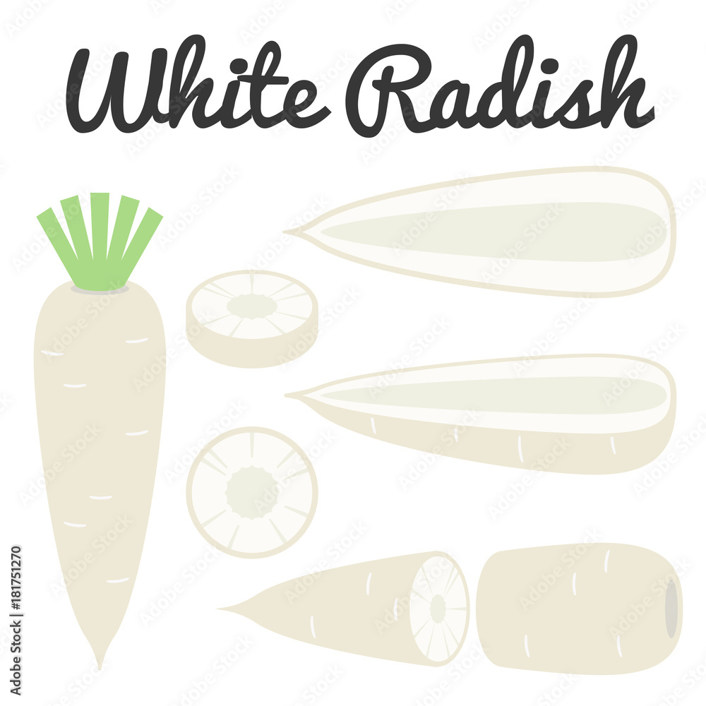 Vector set of vegetable, Half and Slice White radish vector icon set Vector set of vegetable, Half and Slice White radish vector icon set