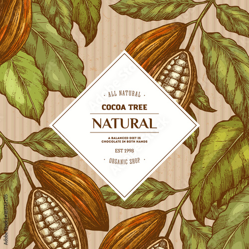 Cocoa bean tree round design template. Engraved style illustration. Chocolate cocoa beans. Vector illustration