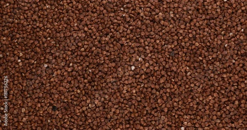 buckwheat grains background photo