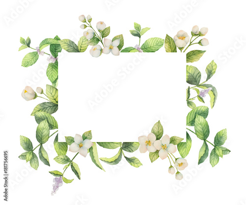 Watercolor vector frame of Jasmine and mint branches isolated on white background.