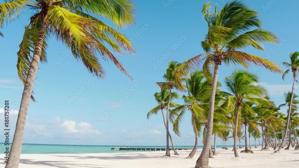 Beach Maldives palms landscape. White sand beach, Exotic countries, flying clouds, Maldives Beach Maldives palms landscape. White sand beach, Exotic countries, flying clouds, Maldives