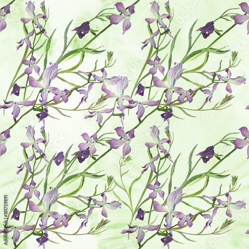 Fototapeta Naklejka Na Ścianę i Meble -  Flowers and branches -hoary stock. Matthiola incana. Decorative composition on a watercolor background. Seamless pattern. Watercolor painting medicinal, perfumery and cosmetic plants. Wallpaper. 