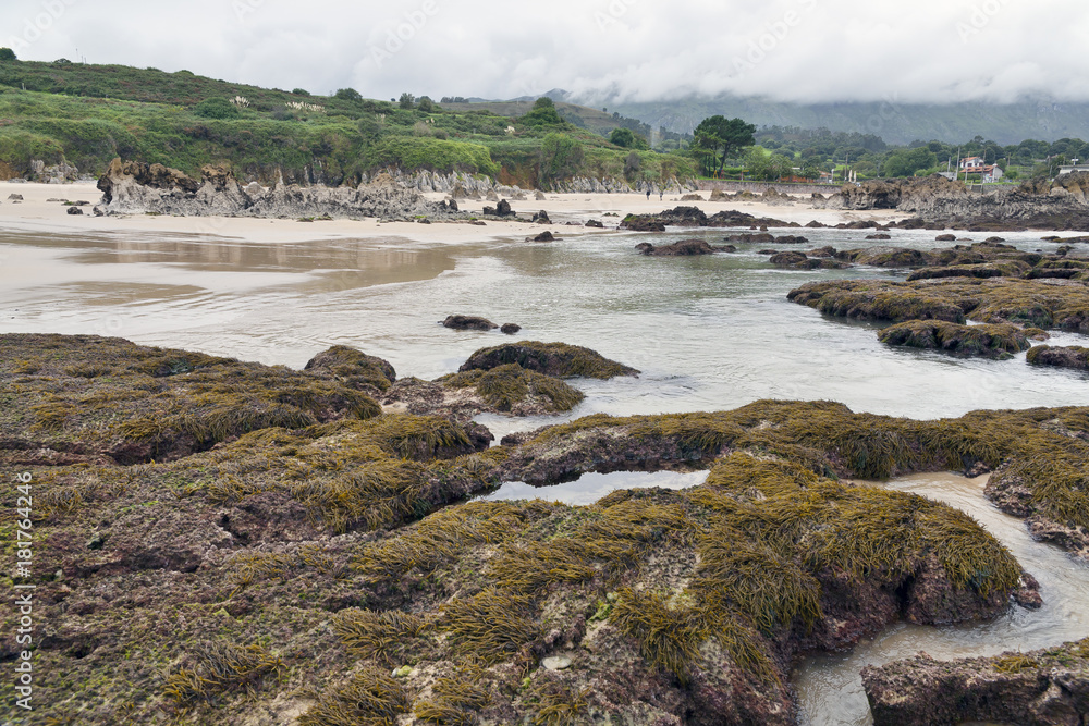 Playa de Toro en LLanes. Asturias Playa de Toro en LLanes. Asturias