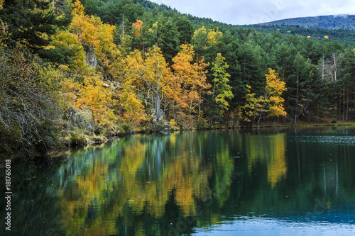 Fototapeta Naklejka Na Ścianę i Meble -  Autumn lake reflections back