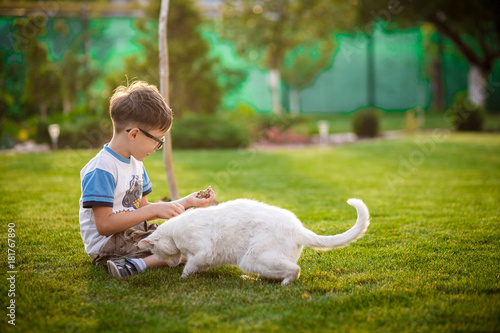 little boy feeds homeless cat in a garden photo