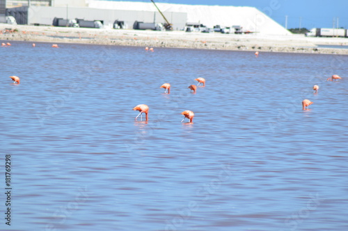 tête dans l'eau