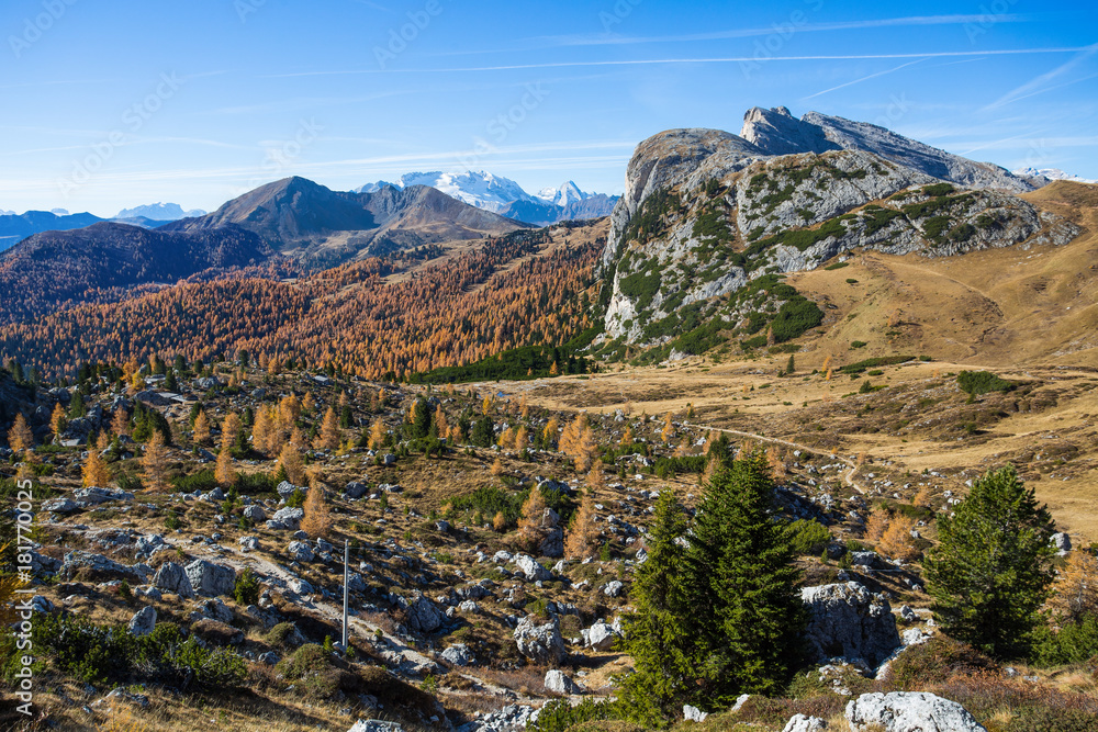 Autumn landscape in Dolomites, Italy. Mountains, fir trees and above all larches that change color assuming the typical yellow autumn color.