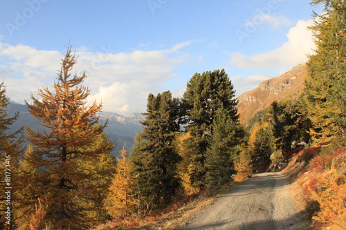 Herbst im Engadin