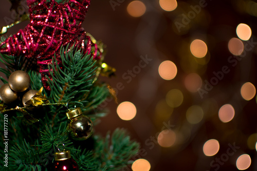Christmas tree and lights background