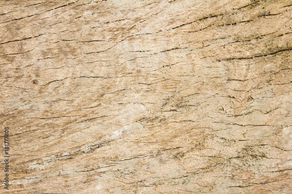 Grunge brown wood textued background with copy space Grunge brown wood textued background with copy space