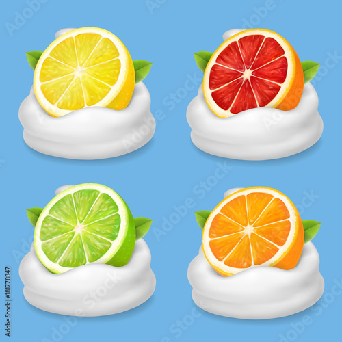 Orange, lime, grapefruit and lemon in yogurt . Citrus fruit in whipped cream Realistic illustration. vector icon set