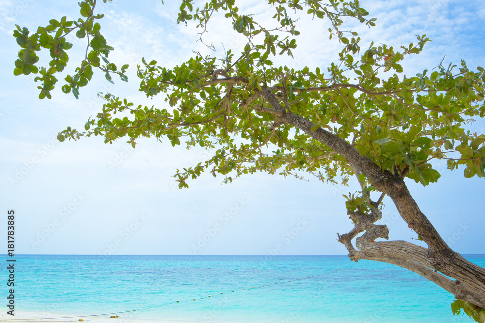Tropical beach, Krabi, Thailand Tropical beach, Krabi, Thailand