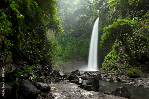 Fototapeta Naklejka Na Ścianę i Meble -  Beautiful big waterfall in green forest. Nature landscape background