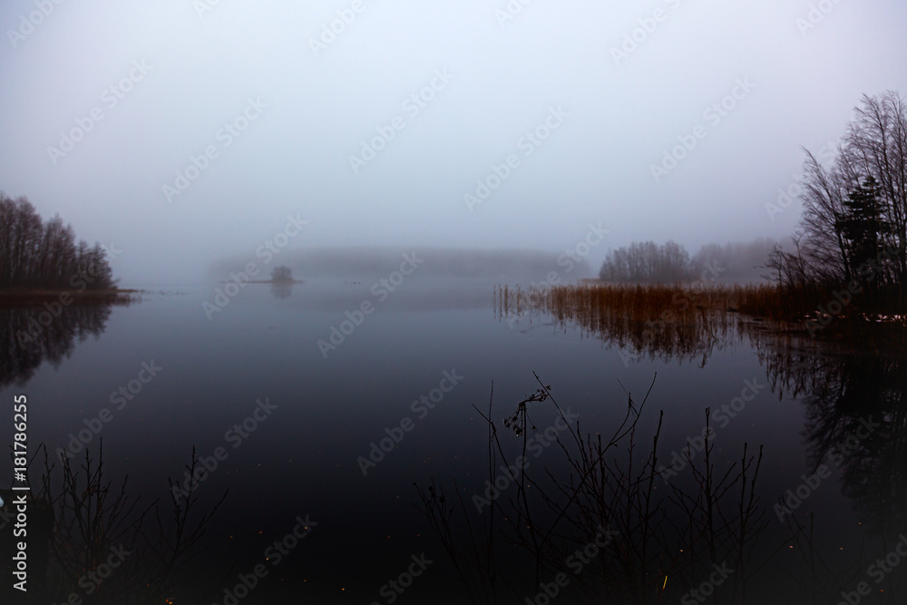 Winter landscape - lake, forest, fog