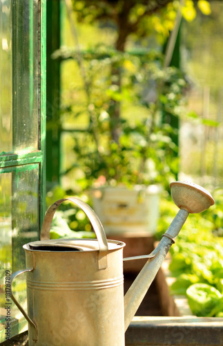 Old metal watering can in front of a greenhouse in summer photo