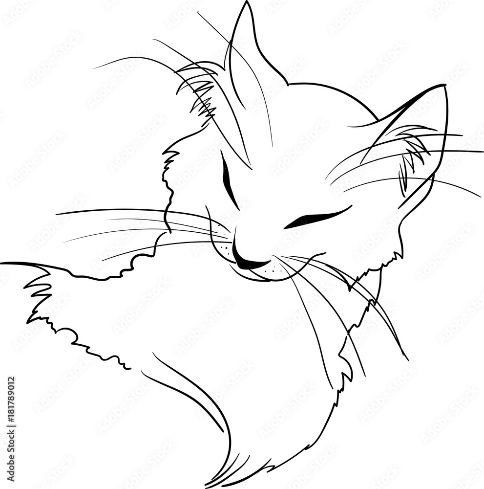 Obraz premium Cat head simply drawn, vector