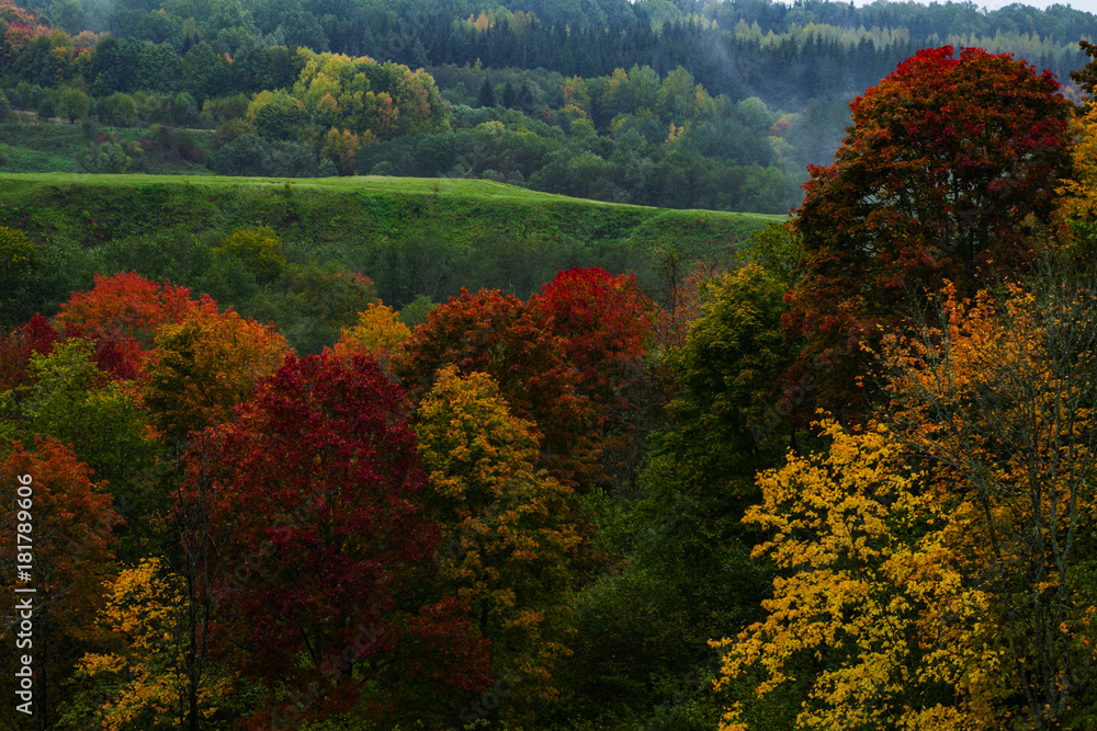 Obraz premium Betiful autumn park