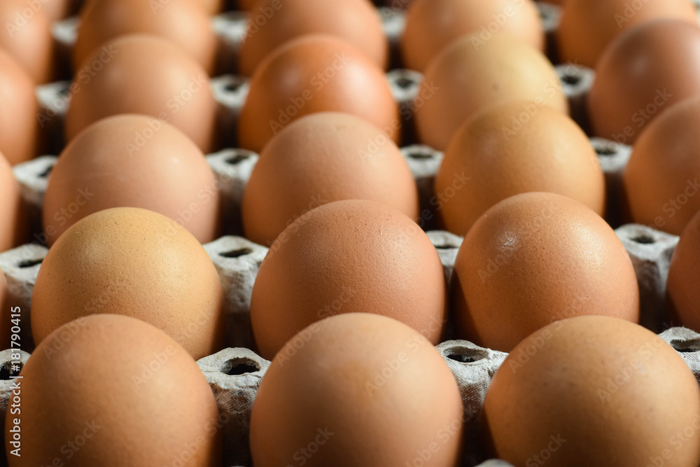 Raw eggs are arranged neatly in trays fabricated from recycled paper.
Raw eggs are arranged neatly in trays fabricated from recycled paper.