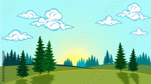 Summer landscape of the valley with trees on the background of the sun