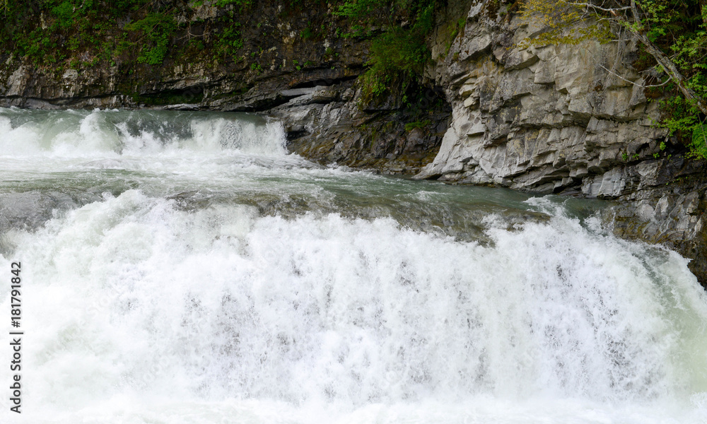 Fototapeta premium 滝