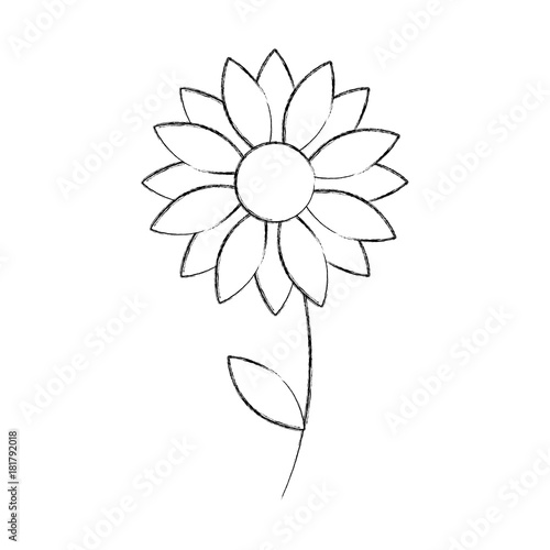 flower petal natural floral season decoration icon vector illustration
