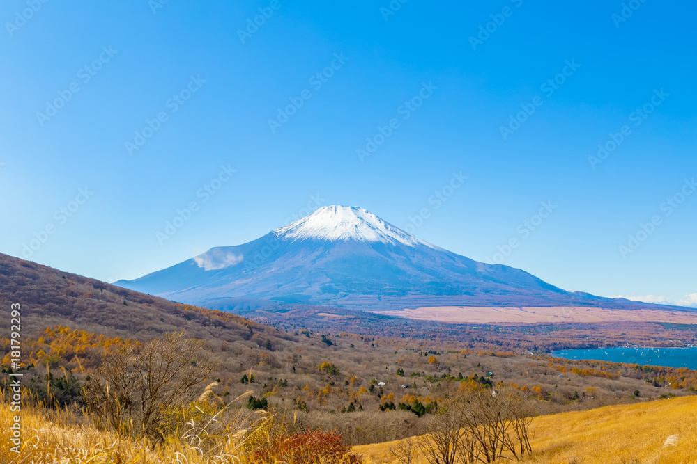 Mt.Fuji and Lake Yamanakako.The foreground is pampas grass.The shooting location is Lake Yamanakako, Yamanashi prefecture Japan. Mt.Fuji and Lake Yamanakako.The foreground is pampas grass.The shooting location is Lake Yamanakako, Yamanashi prefecture Japan.