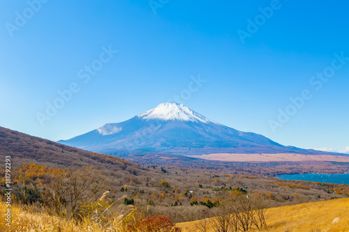 Mt.Fuji and Lake Yamanakako.The foreground is pampas grass.The shooting location is Lake Yamanakako, Yamanashi prefecture Japan.