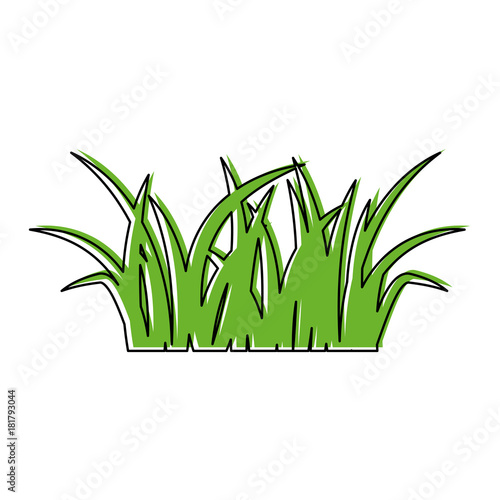green grass natural forest foliage image vector illustration